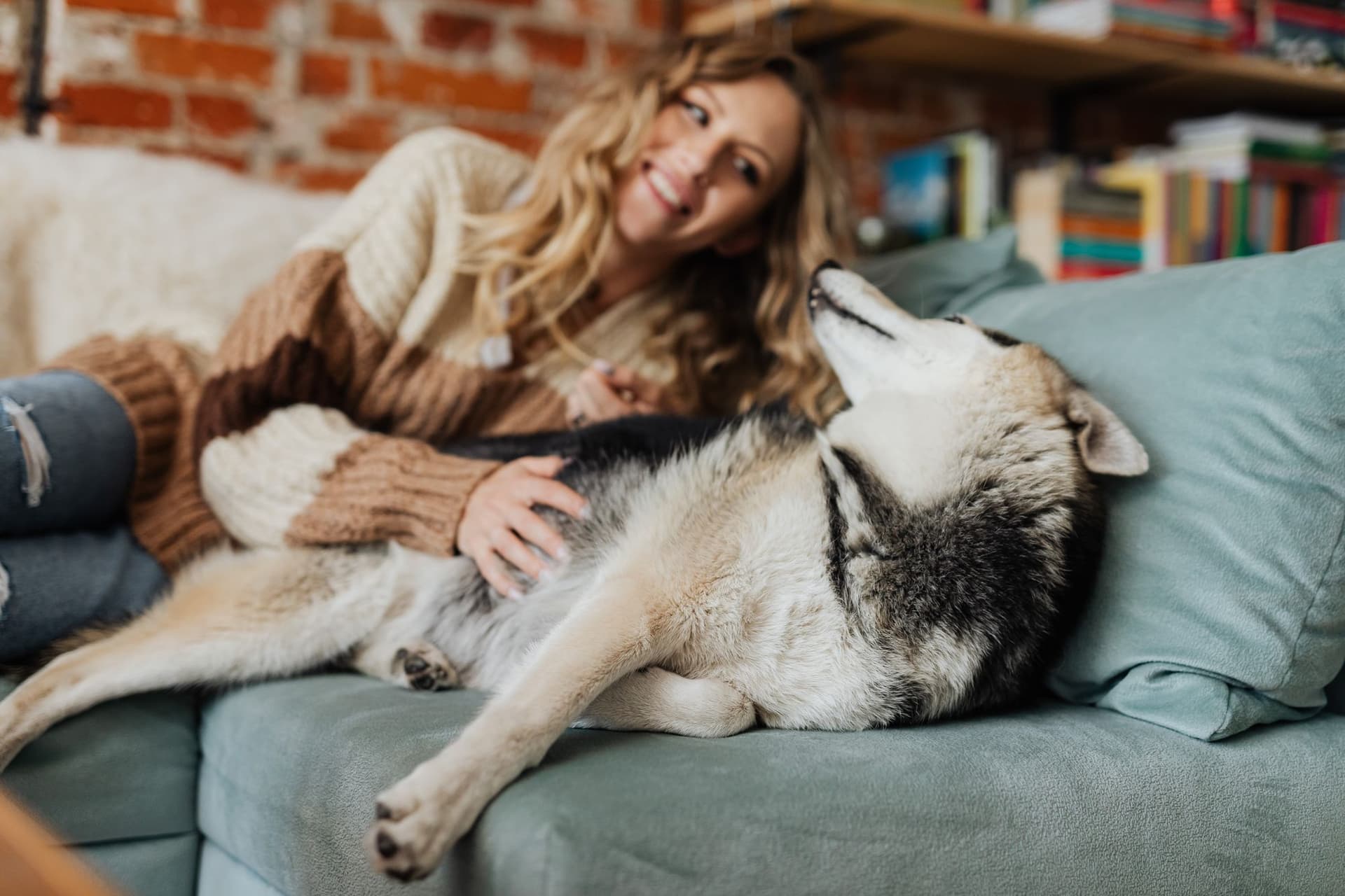 Créer du lien avec son chien